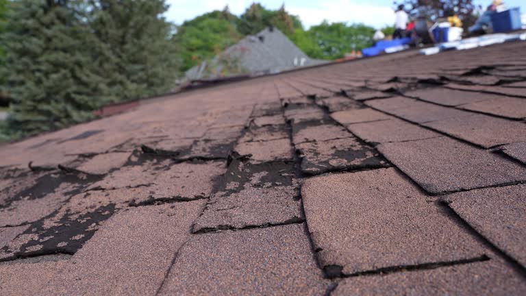 Best Roof Ventilation Installation  in Beggs, OK